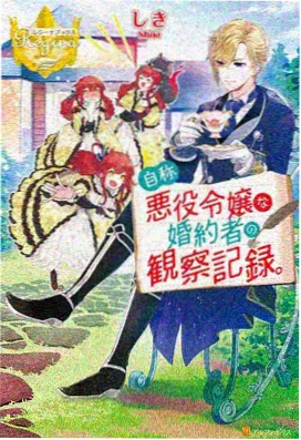 风起九重动画封面